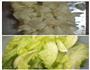 蒜蓉炒生菜的做法图解1