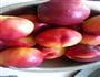 自制桃罐头的做法步骤1
