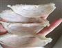 椰奶红枣燕窝的做法图解9