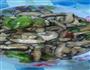 香菇炒青椒的做法图解13