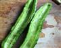 凉拌苦瓜的做法图解2