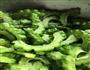 凉拌苦瓜的做法图解3