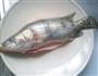 酥皮烤鱖鱼的做法图解1