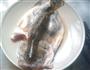 酥皮烤鱖鱼的做法图解2