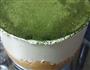 抹茶红豆芝士蛋糕的做法图解8