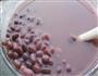 红豆燕麦粥的做法图解3