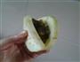 茄子饼的做法图解4