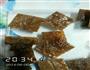 猪肉脯的做法图解5