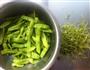 蒜片荷兰豆的做法步骤1