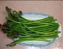 炝炒蕨菜的做法图解1