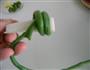 豇豆纠结白灵菇的做法图解4