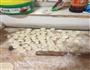 鸡肉杏孢菇馅大馄饨的做法图解5