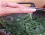 野菜不烂子的做法图解1