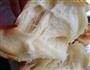 中种椰蓉面包卷的做法图解5