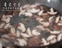 简简单单的香菇小炒肉的做法步骤6