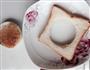 早餐 Egg in a basket 来自的做法图解3