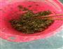 茴香馅儿猪肉饺的做法图解4