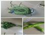 油焖豇豆的做法图解1