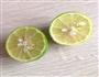 冰爽柠檬茶的做法图解2