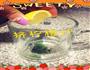 mojito  莫吉托的做法图解3