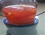 西红柿汁的做法图解2
