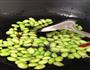 夏日清爽菜-毛豆焖豆腐的做法图解4