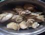 红烧鸡腿肉的做法图解4