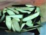红烧茄子的做法图解1