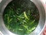 浇汁菠菜的做法图解1