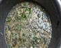 马齿苋煎饼的做法图解2