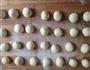 水饺的做法图解2