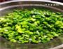 韭菜肉末的做法图解1
