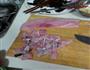酸菜鱼的做法图解2