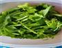 夏日低脂菠菜鸡蛋汤的做法图解1