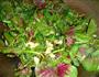 蒜蓉苋菜的做法图解6