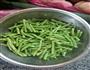 凉拌长豆角的做法图解1