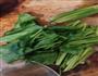 鲜香菌汤面的做法图解5