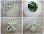 青菜蒸饺的做法图解3