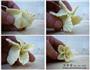 青菜蒸饺的做法图解4