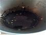 绿豆芝麻糊的做法图解3