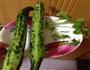 凉拌黄瓜的做法图解1