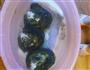 爆炒河蚌肉的做法图解1