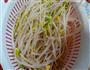 炝拌黄豆芽的做法图解4