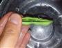 自制豆角酿肉的做法图解4
