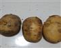 黄金土豆的做法图解1