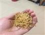 杏孢菇银鱼炖豆腐的做法图解3