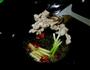 家常下饭菜-豆角炒五花肉的做法图解5