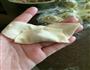 鲜肉馄饨的做法图解4