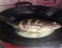 红烧罗非鱼的做法图解3