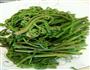 炝炒蕨菜的做法图解1